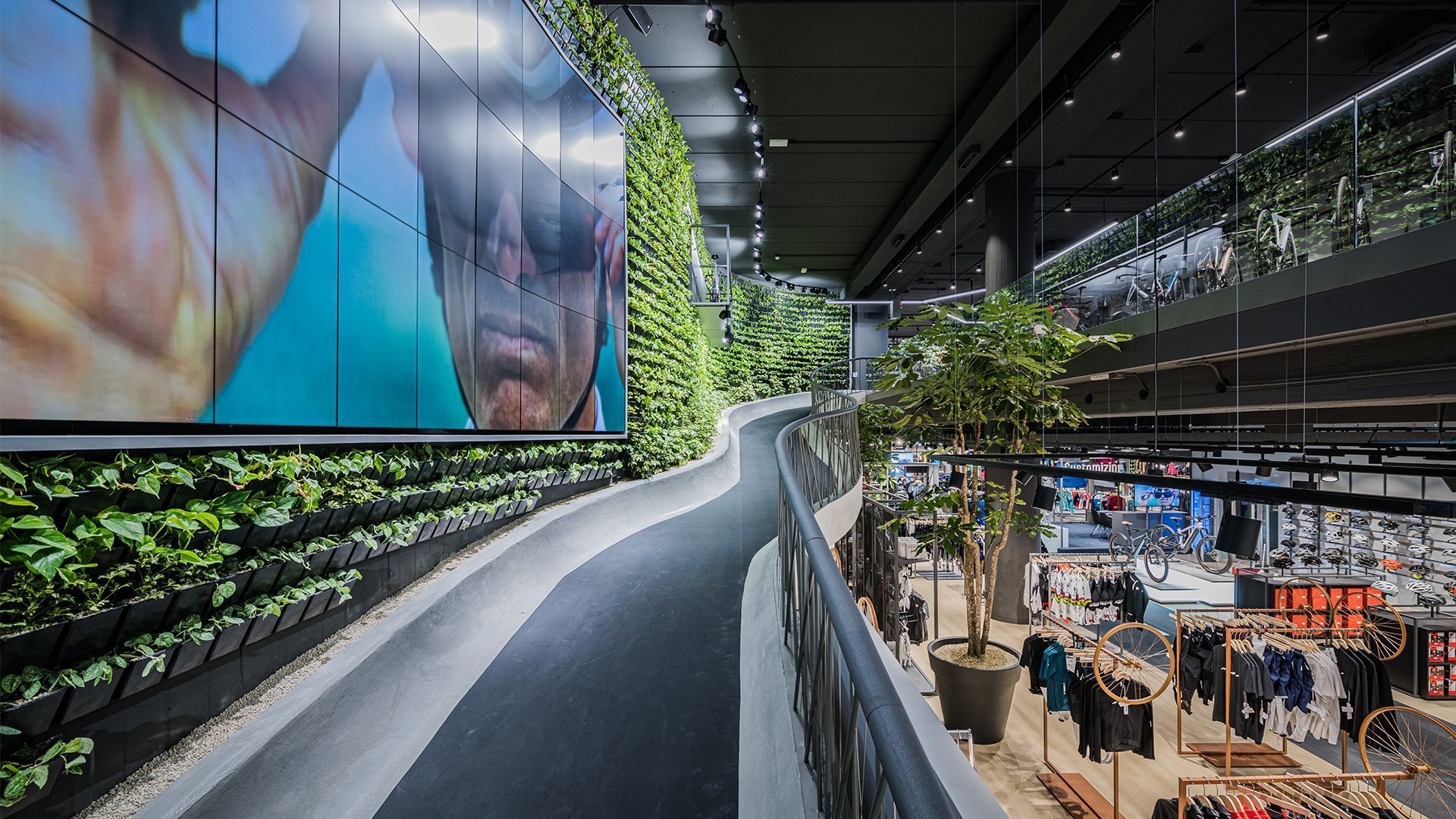 Hochwertiges Sportfahrrad in einem modernen Fahrradgeschäft, umgeben von grünen Pflanzen und stilvoller Einrichtung, ideal für sportliche Radfahrer.